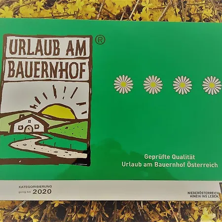 Bauernhof Grabner Vulgo Vorderbichl *