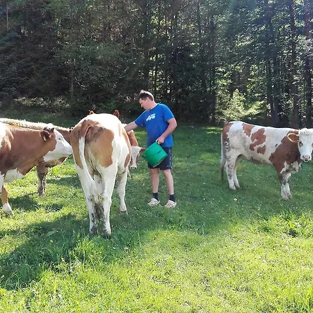 Grabner Vulgo Vorderbichl Bauernhof Michelbach